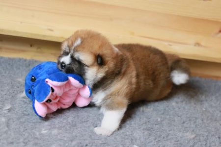 186498473 4477579928936919 1493978246588512624 n