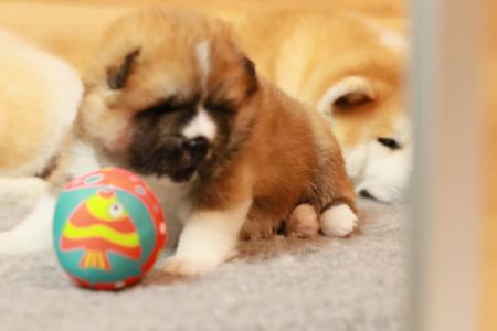 186540416 4480568128638099 1067974684387480616 n