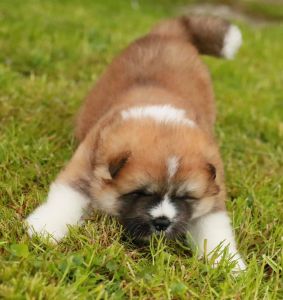 186910158 4485216284839950 3086975436854537919 n