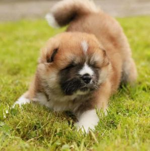 186994971 4485215954839983 7109276101821549080 n