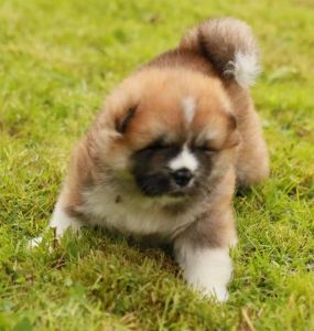 187414954 4485216174839961 4139765061464267225 n