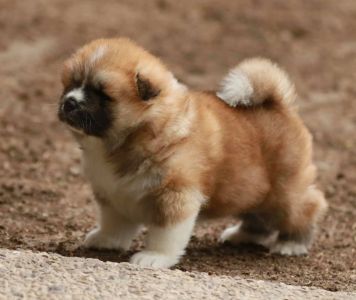 188745762 4501802106514701 2637701857307848373 n