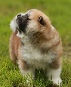 188926783 4501802256514686 5323845403269887339 n