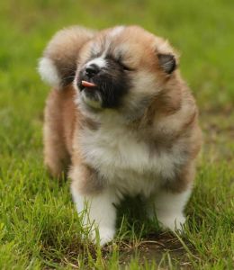 189206226 4501802346514677 7186887875501804165 n