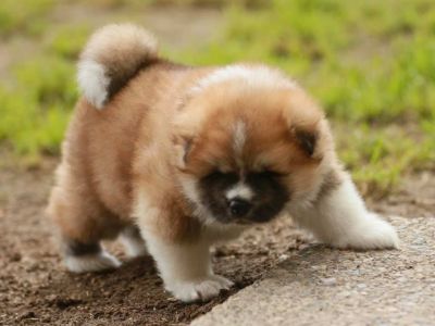 189294586 4501802356514676 1215747396155528438 n