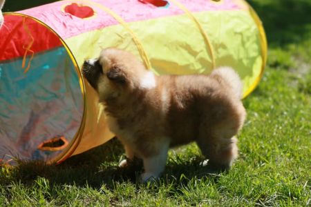 189487885 4526198627408382 1927084850730694443 n