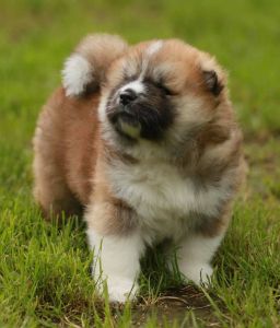 189870534 4501802449848000 806666421133260951 n