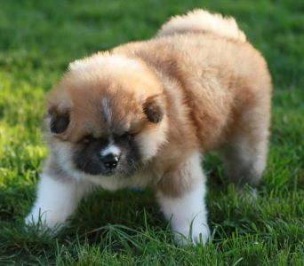 192661767 4526198370741741 5483661819322328728 n