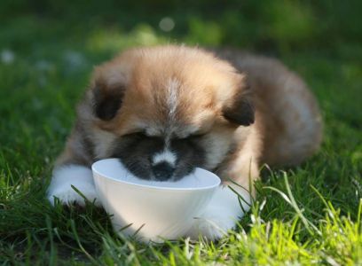 192670442 4526198504075061 6978887074178599746 n