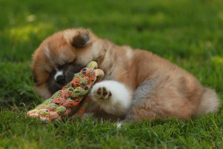 192688509 4526199057408339 1115285150728570716 n