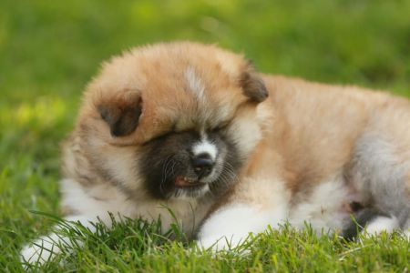 192744377 4526199254074986 3764955168989484813 n