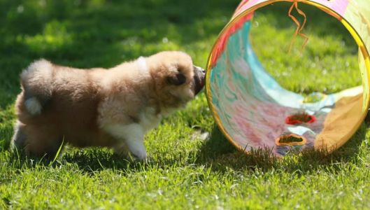 193098261 4526199277408317 3030237465995045472 n