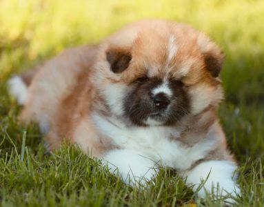 193188950 4526198767408368 7386131534767003725 n