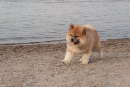 216086995 4644222788939298 5887868330896431295 n