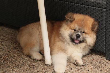 216140443 4644221818939395 8958553432024948550 n