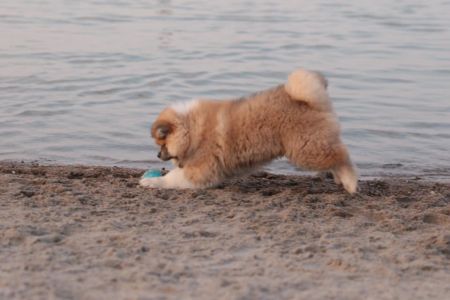 216154857 4644221272272783 407733942389633472 n