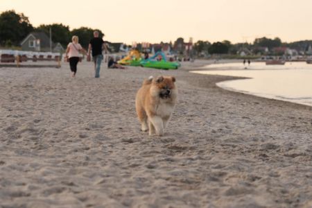 216194538 4644222572272653 1307747440293411793 n