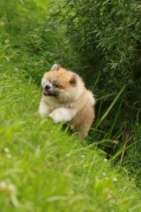 216201877 4644221255606118 5613739184983724549 n