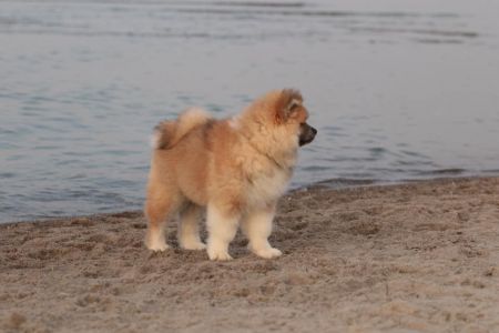 216301410 4644221795606064 860576981276195438 n