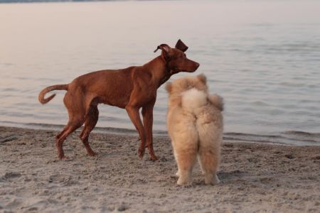 216316187 4644222468939330 9218874378494738253 n