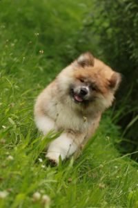 216368147 4644221478939429 3702676518844146455 n