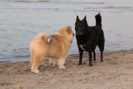 216468012 4644222708939306 3723121963742255971 n