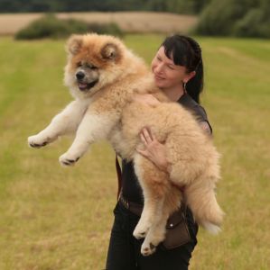 232719832 4724179357610307 3891127914485079371 n