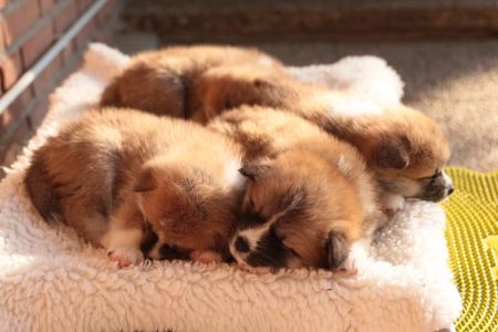 248170028 4977425618952345 8374273464801246820 n