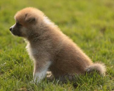 248170987 4977414012286839 6495009935097826965 n