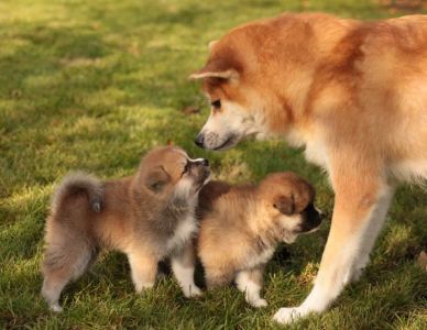 248171863 4977422848952622 4515343145672436291 n