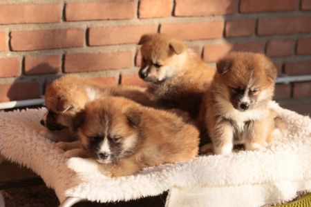 248201577 4977426248952282 4809637638198489622 n