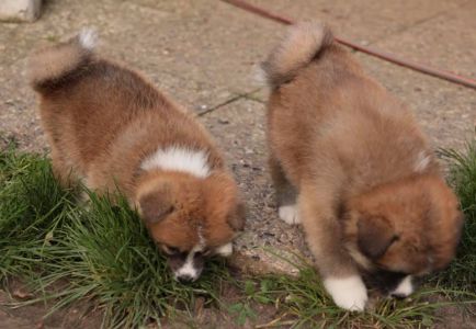 248206485 4977423425619231 5964285589972498162 n