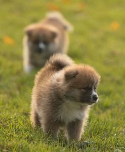 248222215 4977416572286583 8415928216056524520 n