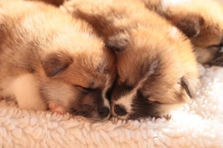 248225998 4977425592285681 2646947411544176959 n