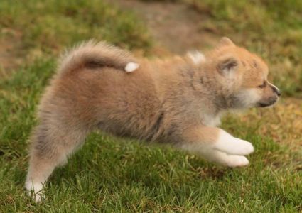 248229363 4977417038953203 8298473177351490851 n