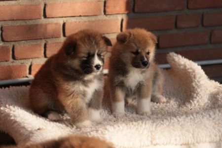 248234689 4977426108952296 2357640804017537445 n