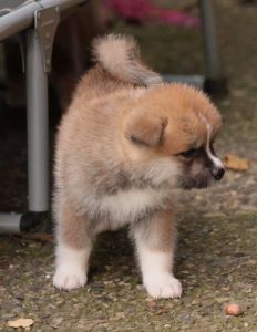 248237819 4977412882286952 7872935890433505393 n