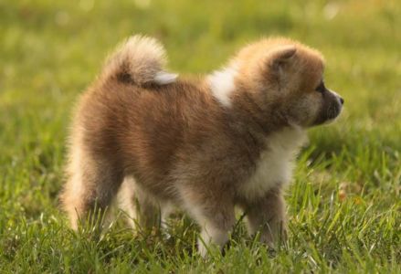 253343504 5021123531249220 7578525622028507060 n