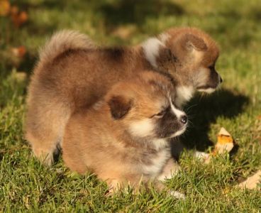 253580950 5021123301249243 7970280502471887076 n