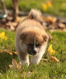 253629664 5021121561249417 3257425048162687105 n