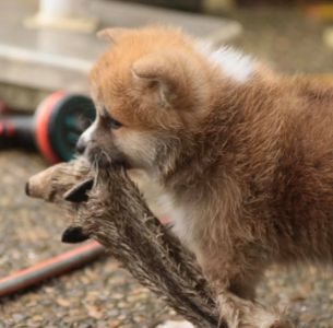 253641607 5021123974582509 6141799021958340457 n