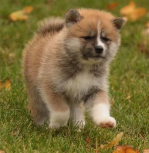 253644107 5021116291249944 6267824072635622707 n