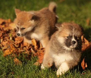 253644119 5021121231249450 4475358712345643585 n