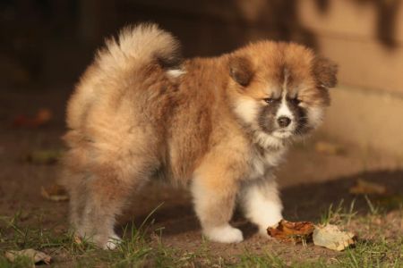 253656447 5021116814583225 7315082831557848190 n