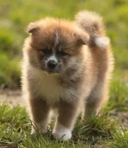 253659768 5021120621249511 3136699072489641724 n