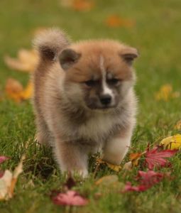 253672508 5021119941249579 4883952605909520529 n