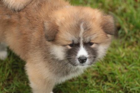 253672510 5021116421249931 7440735758739756129 n