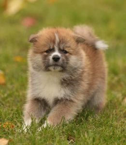 253676309 5021121437916096 4953404774527691507 n