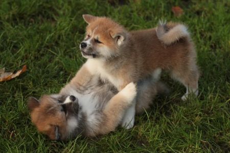 253684022 5021116657916574 8952558500100254673 n