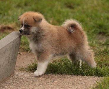 253684044 5021122274582679 2316825754799536880 n